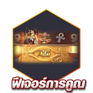 ฟีเจอร์การคูณ (Multipliers)